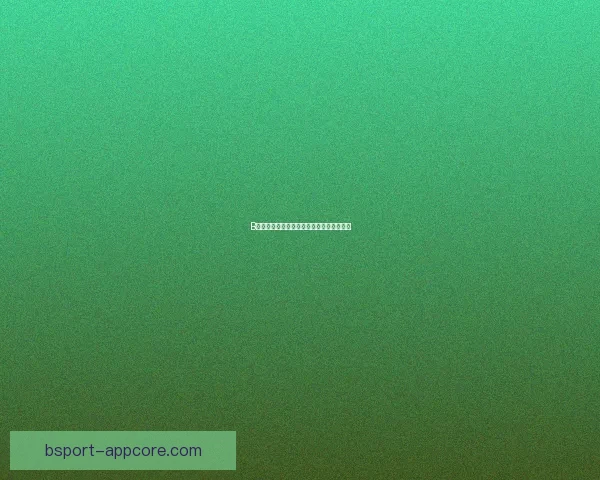 B体育平台综合评价及用户体验分析全面解读